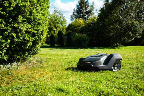 Robotic Lawn Mower Installation