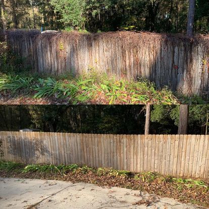 Landscape Cleanup
