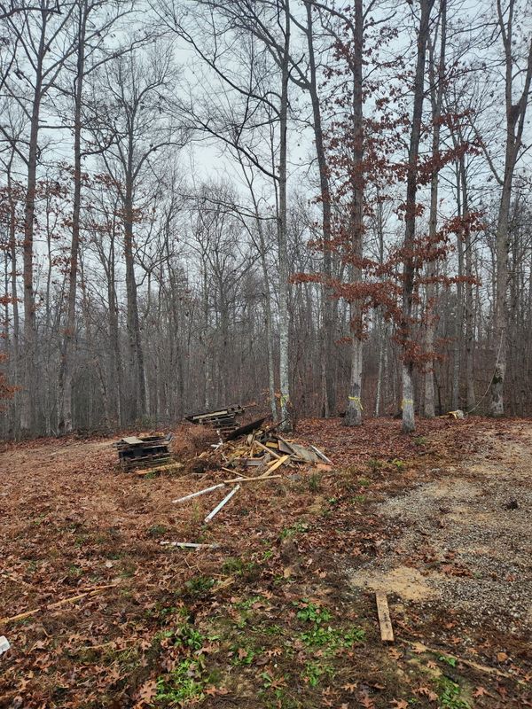 Debris Removal
