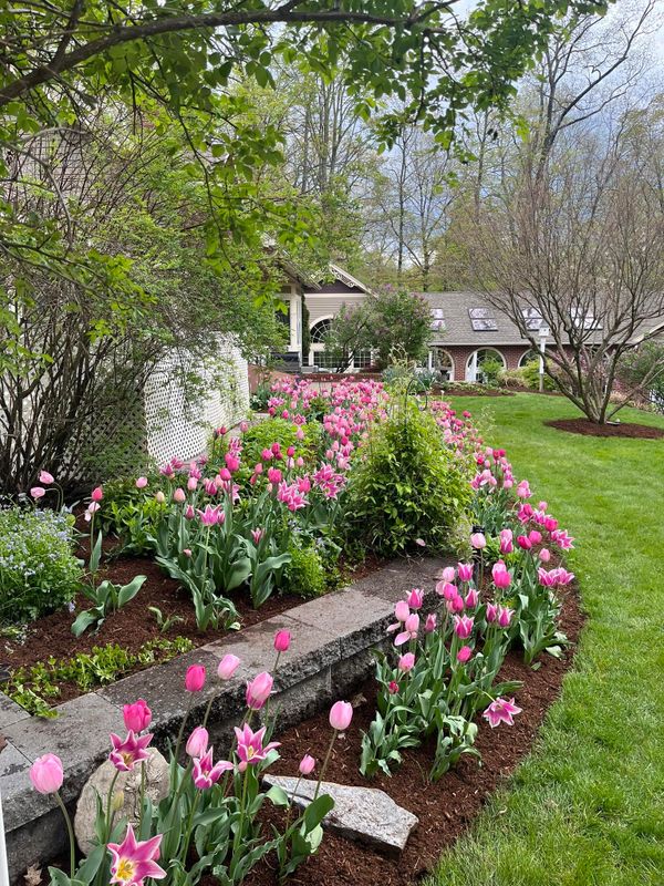 Landscape Design