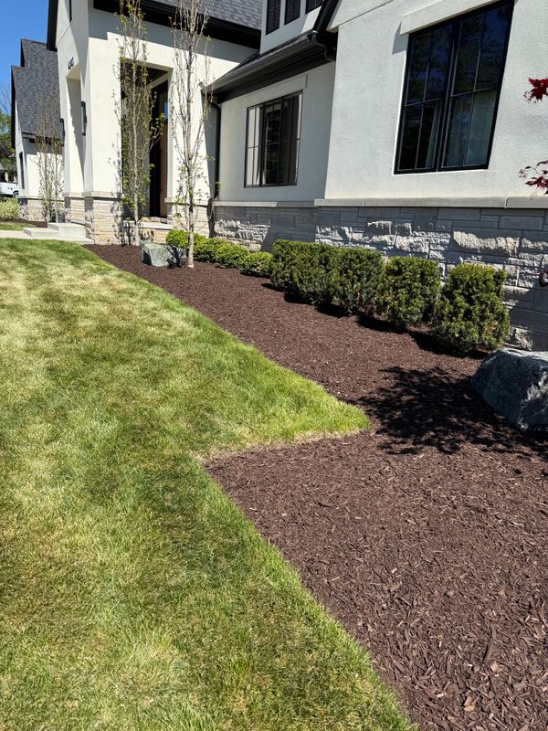 Shrub Trimming