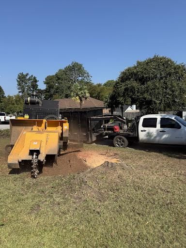 Stump Excavation
