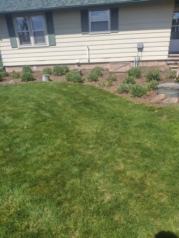 Lawn Maintenance