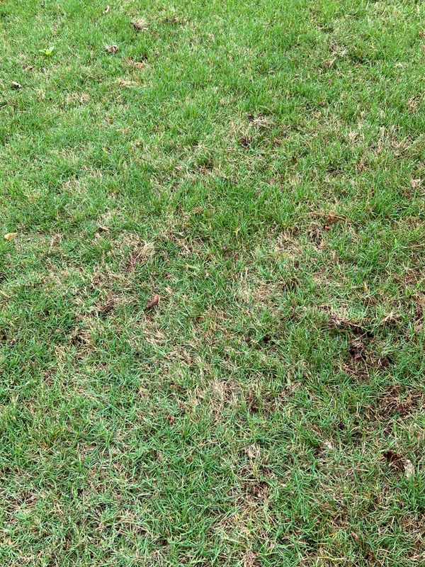 Aeration