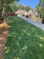 Patio Design & Construction