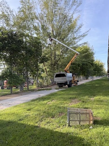 Tree Trimming