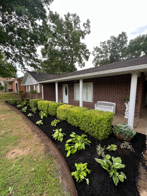 Landscaping and Installations