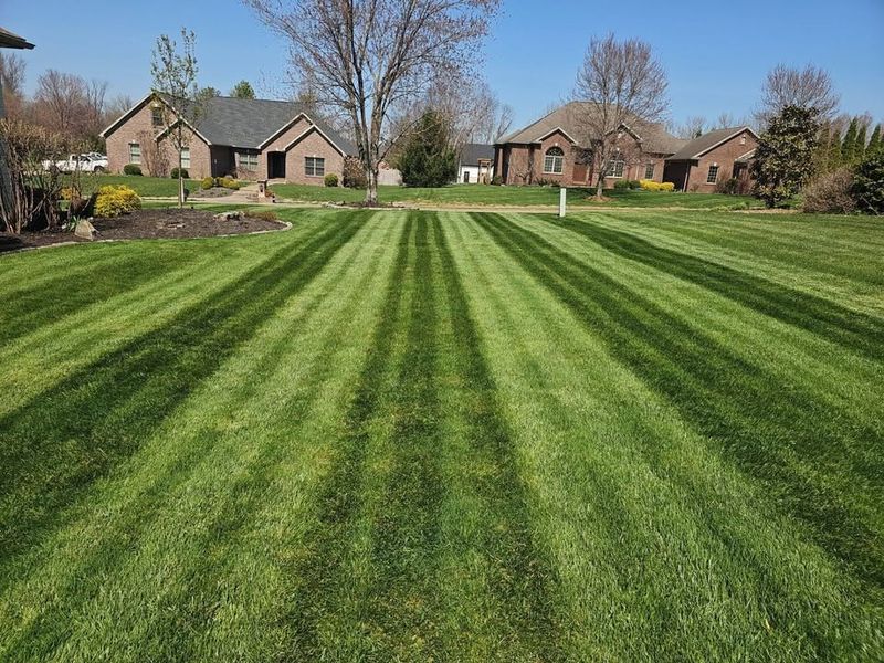 Lawn Maintenance Service