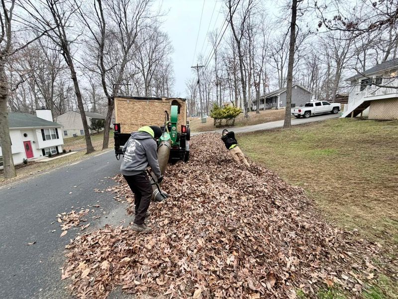 Spring and Fall Clean Up