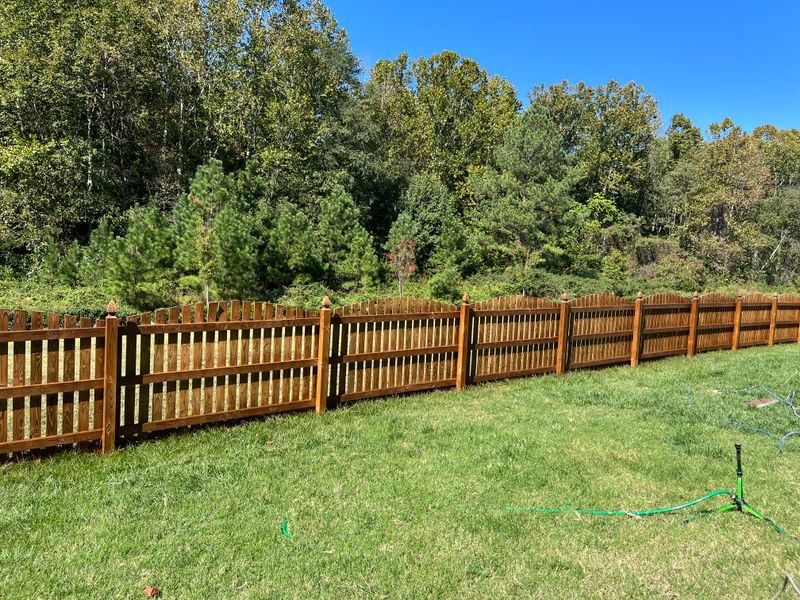 Deck and Fence Staining