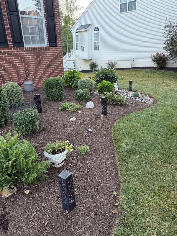 Landscape Lighting