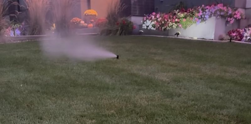 Other Lawn Services