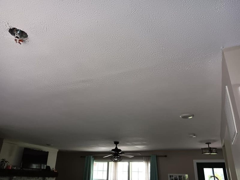 Subfloor repair and Beam Shoring