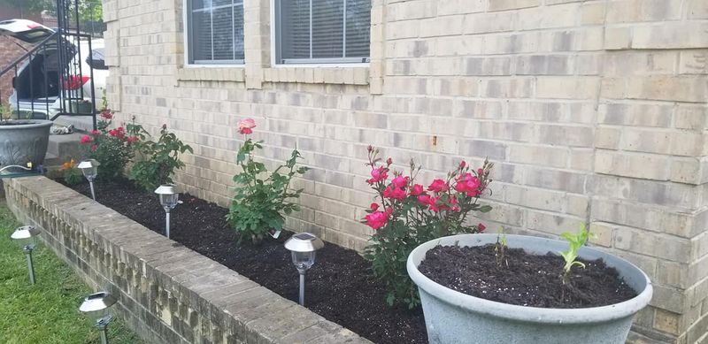 Flower Beds