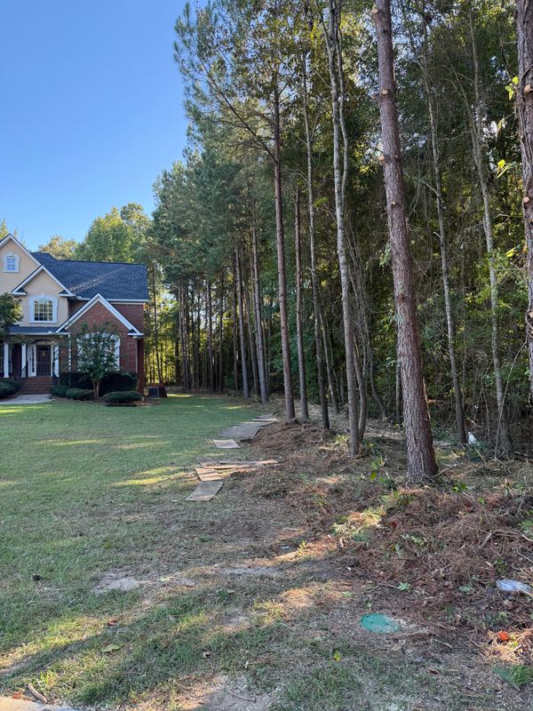 Land Clearing