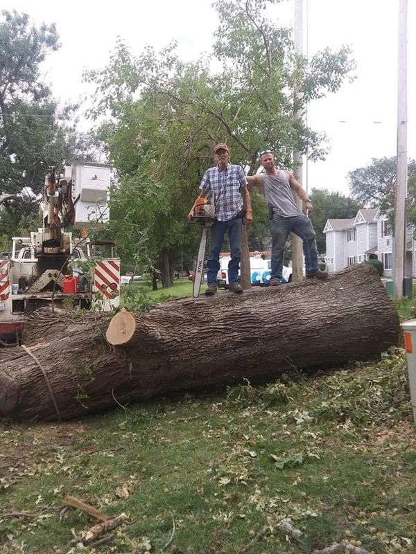 Tree Removal