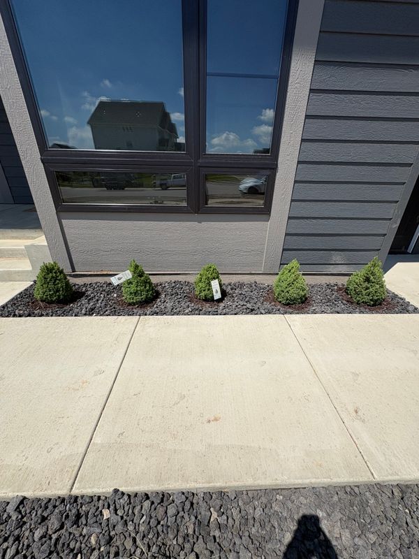 Tree and Shrub Care