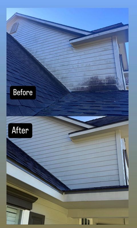 Roof SoftWashing