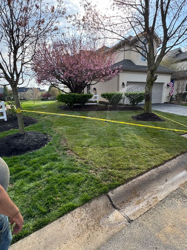 Landscaping