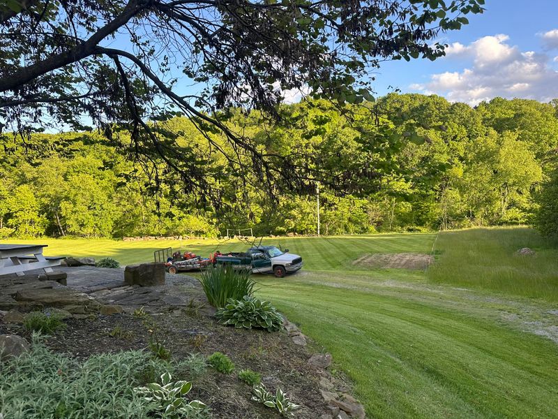 Lawn Mowing