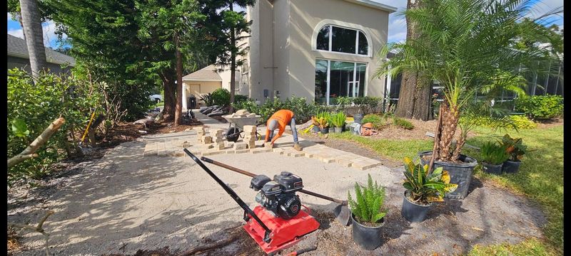 Palm Tree Installation