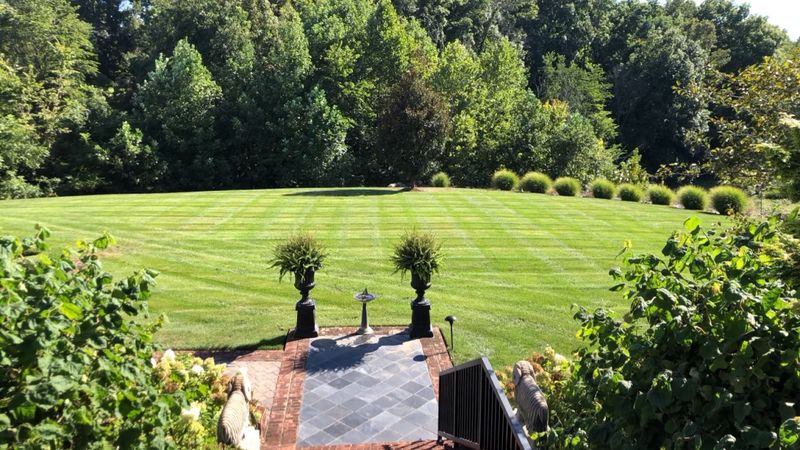 Lawn Care