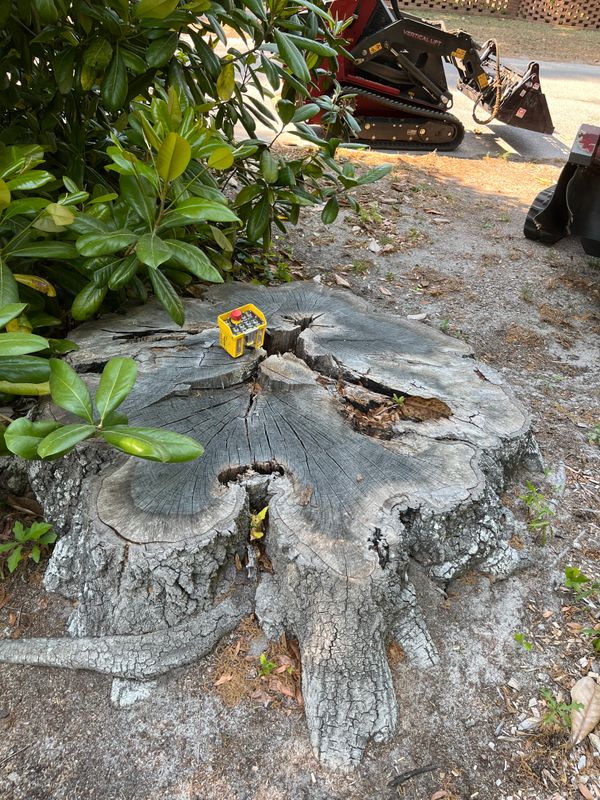 Stump Removal