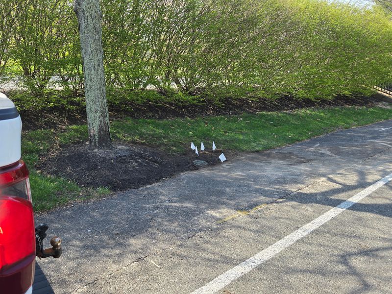 Experienced Irrigation System Repair
