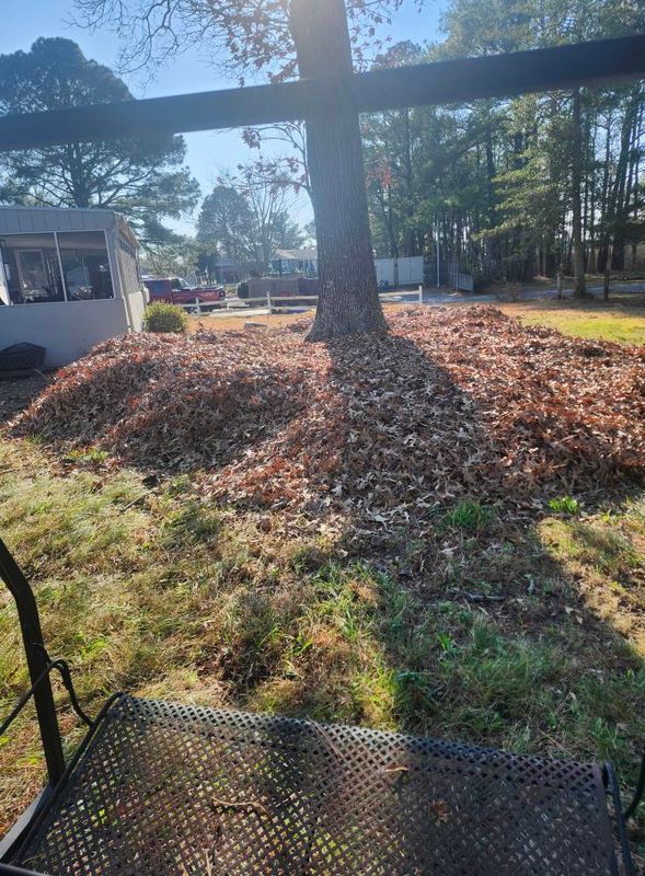 Fall and Spring Clean Up