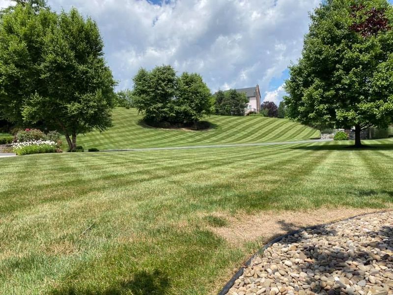 Garden Maintenance