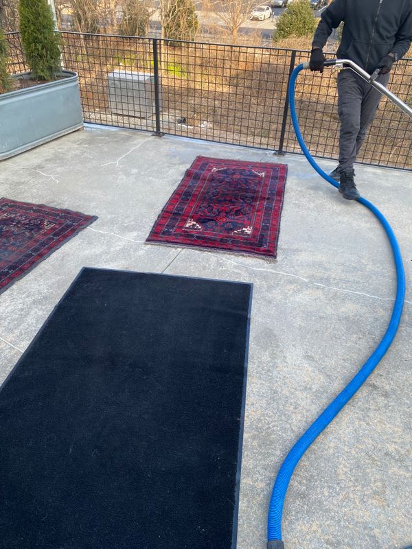 Carpet Cleaning