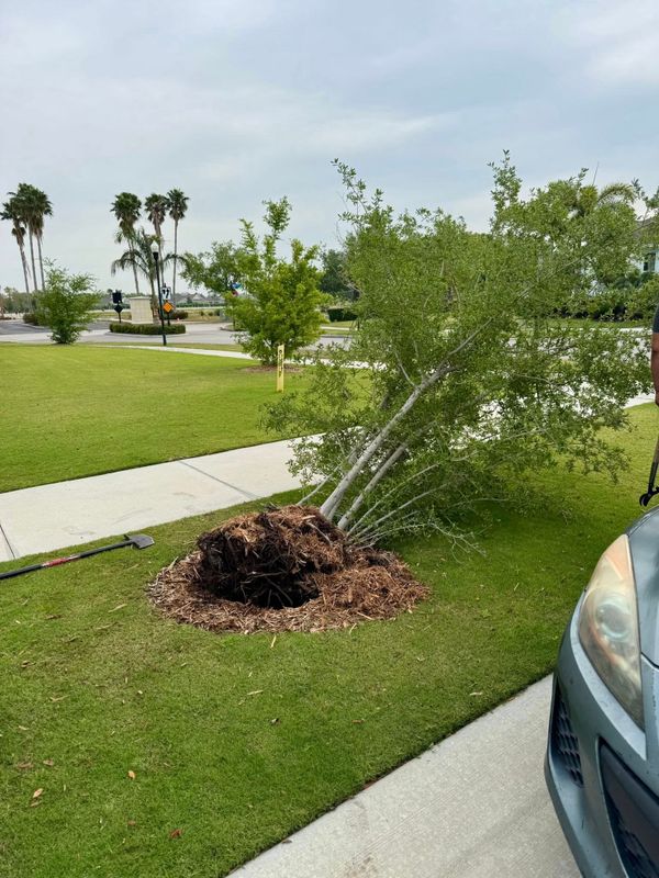 Landscaping