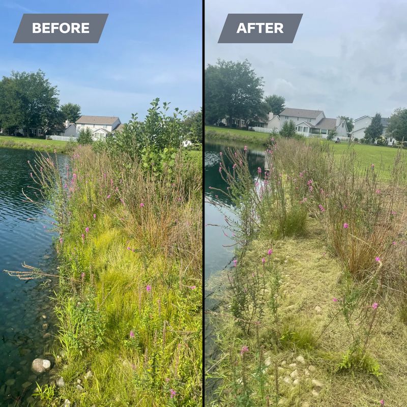 Lawn Maintenance