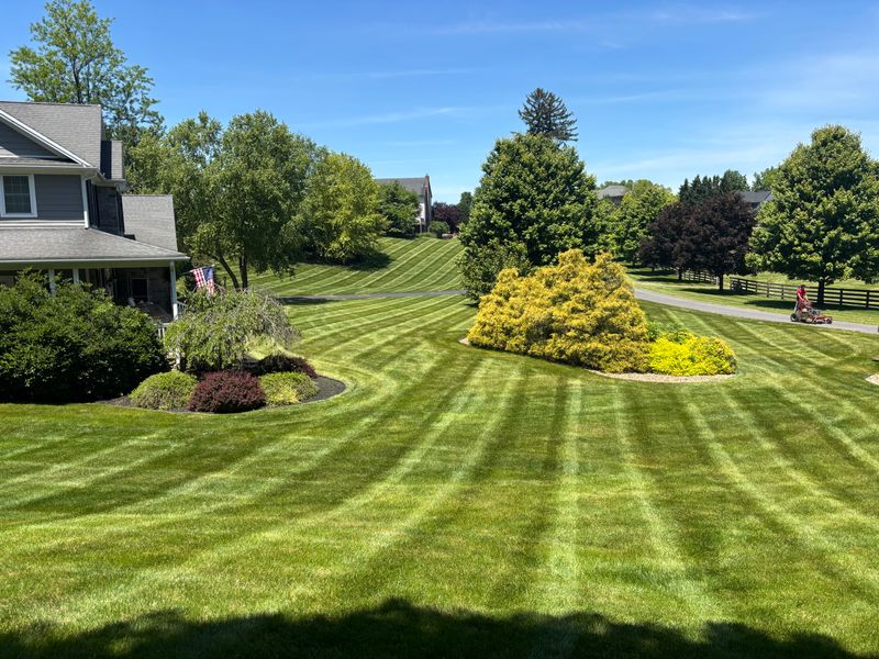 Lawn Mowing