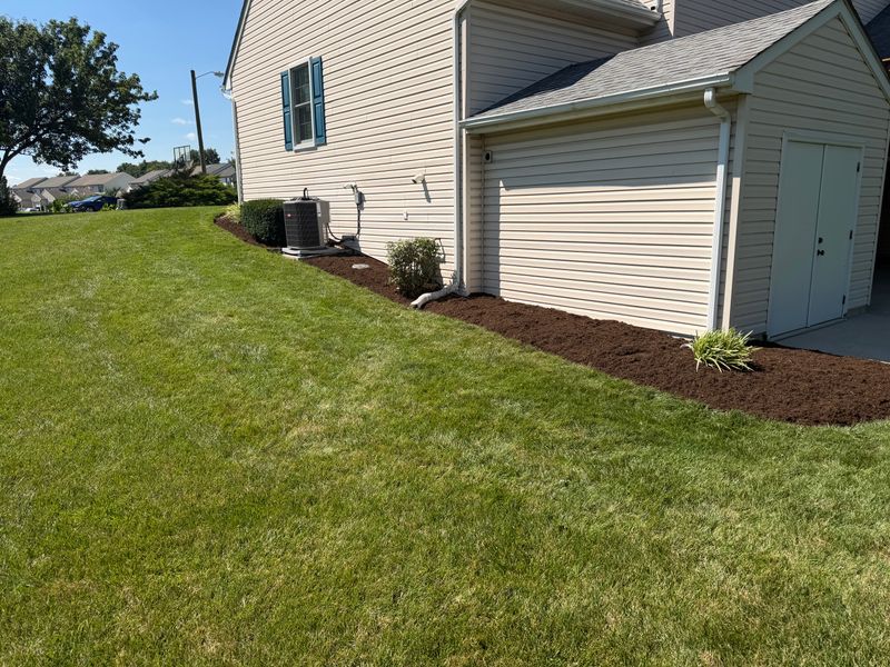 Lawn Care & Maintenance