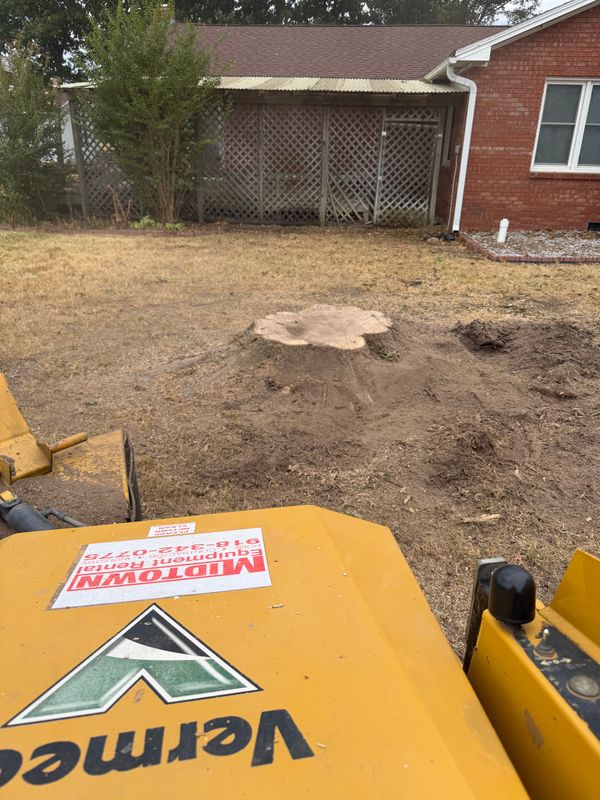 Stump Removal