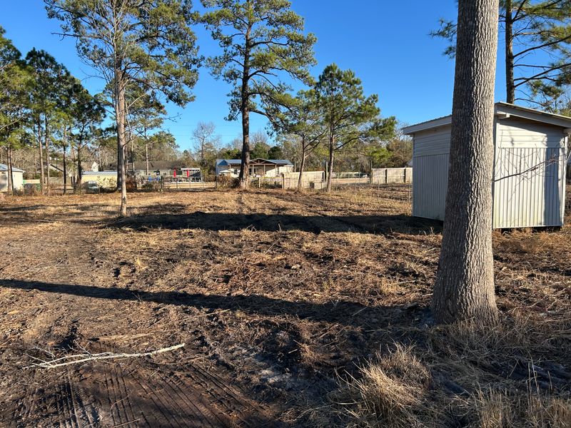 Forestry Mulching/Bush Hogging