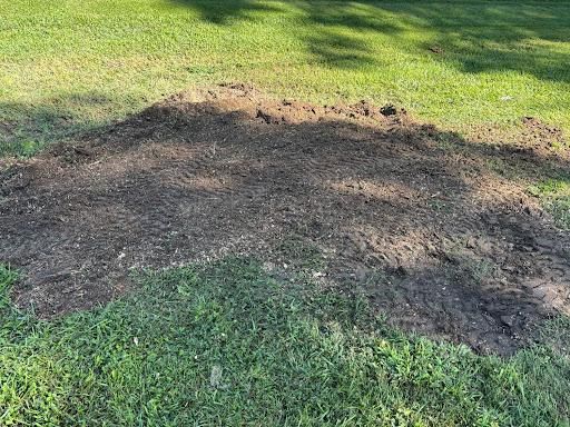 Stump Removal