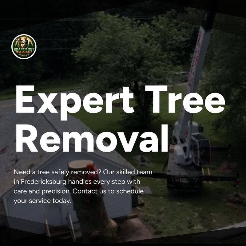 Tree Removal