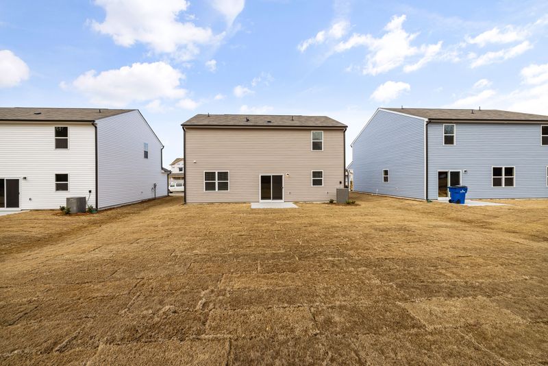 Lawn Renovation