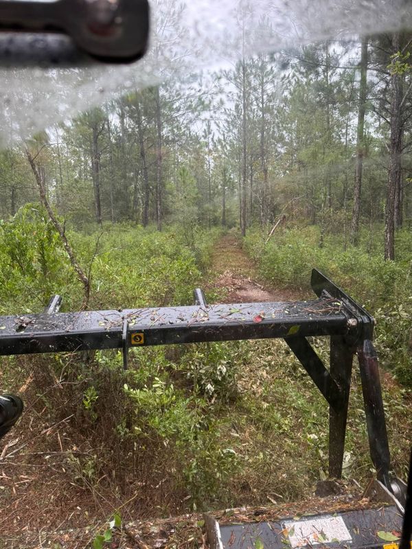 Land Clearing
