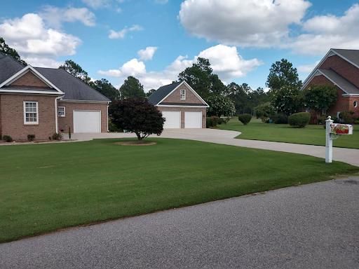 Lawn Aeration