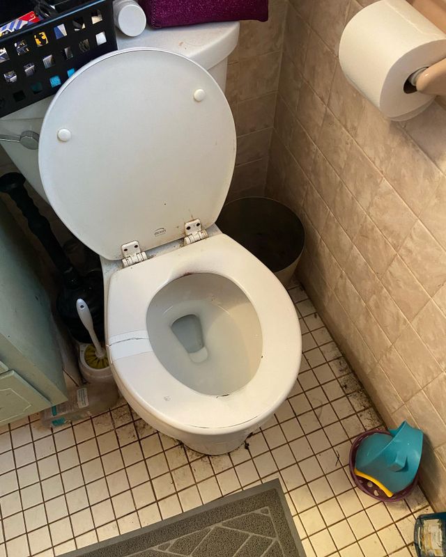 Bathroom Cleaning