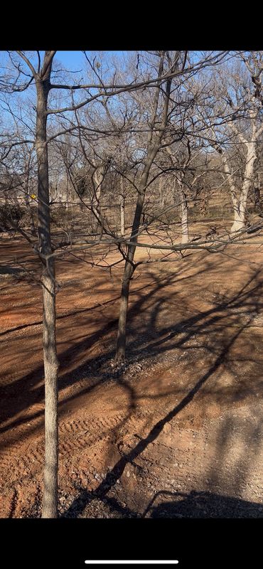 Land Clearing And Preparation