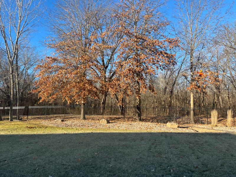Fall Clean Up