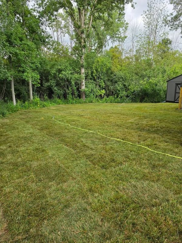 New Lawn Install