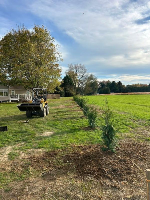 Tree and Shrub Planting