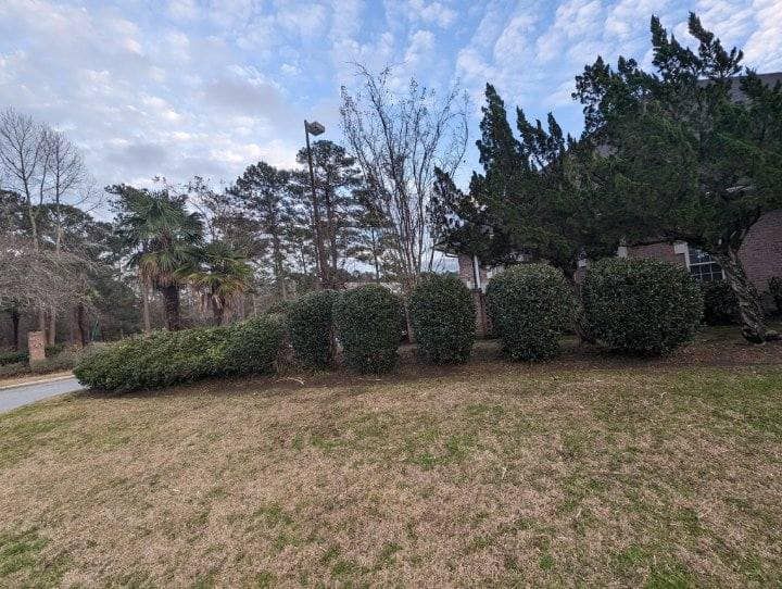 Shrub Trimming
