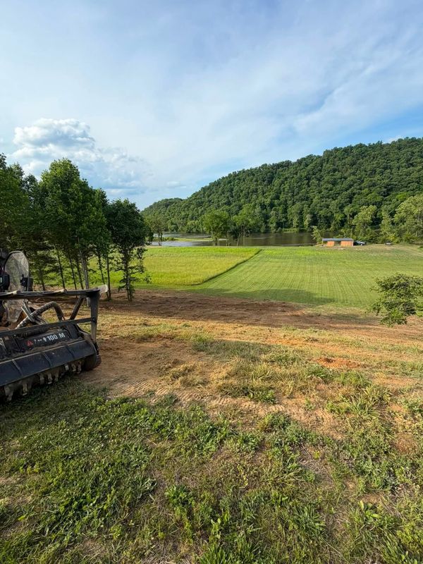 Largescale Landclearing