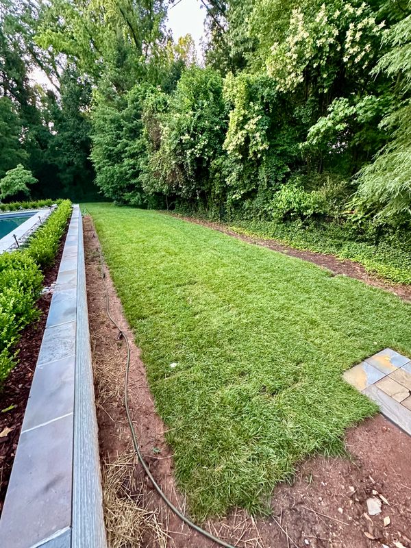 Sod Installation